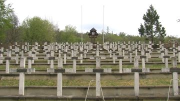 252_1765_01.MP4_snapshot_00.01.513