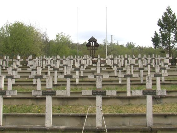 252_1765_01.MP4_snapshot_00.01.513