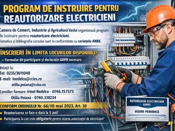 CCIAelectr