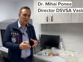 DSVSAsup