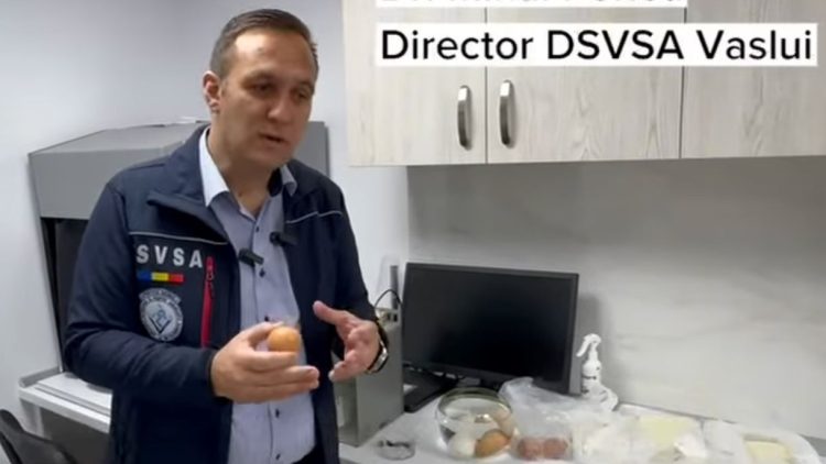DSVSAsup