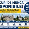 Locuri de Munca VS, BD si HS