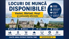 Locuri de Munca VS, BD si HS