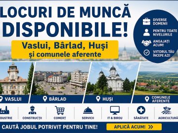 Locuri de Munca VS, BD si HS