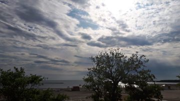 meteo