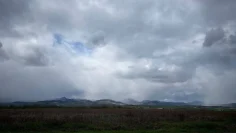meteo