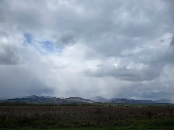 meteo
