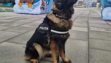 IPai