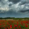 meteo