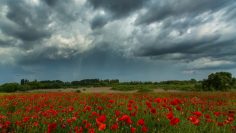 meteo