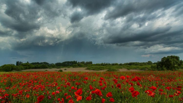 meteo