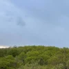 meteo