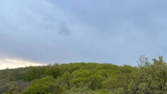 meteo