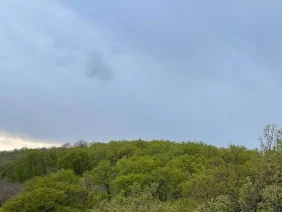 meteo