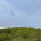 meteo
